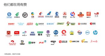 有赞服务 引领互联网信息服务的创新与实践